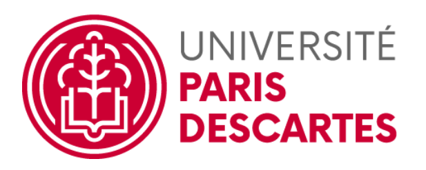 univ_descartes